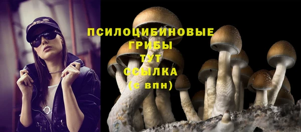 apvp Навашино