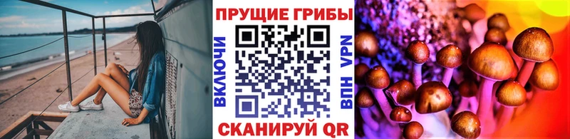 цена наркотик Николаевск Псилоцибиновые грибы Cubensis