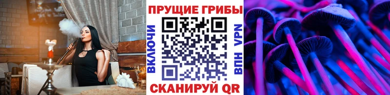 Псилоцибиновые грибы Psilocybine cubensis Николаевск